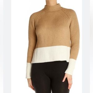 Banana Republic Mock Neck Colorblock Sweater
